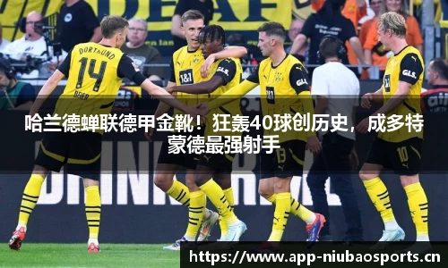 哈兰德蝉联德甲金靴！狂轰40球创历史，成多特蒙德最强射手