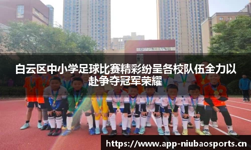 白云区中小学足球比赛精彩纷呈各校队伍全力以赴争夺冠军荣耀